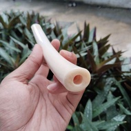 Once pipa cangklong iga duyung kristal super tebal 16cm melengkung