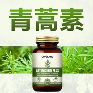 (Care for one's health) 美国进口青蒿素原装琥脂片青蒿素胶囊artemisinin免疫力正品120粒