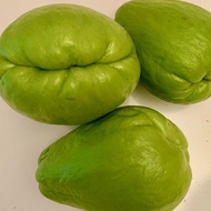 Seed 3pcs 🌸 Chayote (Sechium edule)