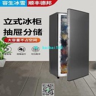 【滿300出貨】全冷凍小型家用冷凍小冰箱迷妳凍母乳小冰櫃茶葉儲存奶冷凍櫃