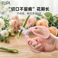 Stainless Steel Gardening Shears Flower Branch Shears Gardening Shears Flower Branch Shears Flower P