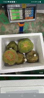 貓山王榴連✈️原箱10kg（包運費）