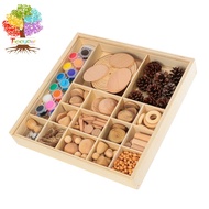 Treeyear Wood Craft Kits DIY for Kids Ages 5-13 Wooden Unfinished Toys Art Paint Bulk Craft Sticks Garden Playset Loose Parts Play Materials