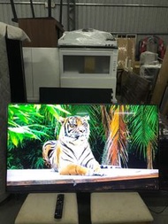 Panasonic國際牌 55吋 4K智慧聯網液晶電視 TH-55FX700W