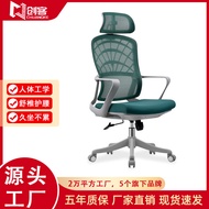 ST-🚤Ergonomic Chair Waist Support Office Computer Chair Long-Sitting Office Chair Suitable for Home Back E-Sports Chair