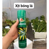 Leaf shine spray for ornamental plants and orchids, 600ml bottle