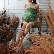 BOTANIST 雙絨面舒適超彈抱枕 山烏龜