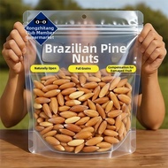 「NomNomBox」 Brazilian Afghan Pine Nuts Large Hand Peeled
