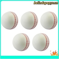 Sports Cricket, Training Cricket, Sports Wind Swing Rebound  Cricket, Elastic Decompression Ball