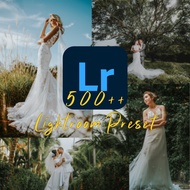 500++ Lightroom PC wedding preset