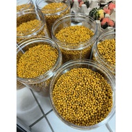 osmocote 14-14-14 everris from Netherlands original (repack)