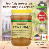 YS Eco Bee Farms, Raw Honey, USA, 623g