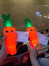 黎明演唱會 LEON 紅蘿蔔燈 黎明 演唱會 紅蘿蔔 燈 黎明演唱會 蘿蔔螢光棒 蘿蔔 螢光棒 演唱會限定周邊 演唱會周邊限定 Robert 紅蘿蔔燈 會發光 蘿蔔手燈 蘿蔔 手燈 (沒有包裝盒)