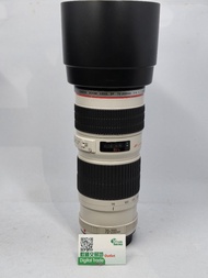 新淨靚仔 Canon EF 70-200MM F4 non IS 無防震 超值 紅圈 白鏡  全幅 半幅 可用 人像 租機 租鏡 70-200 加 adapter 用於 RF