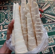 rebung sayur segar. ( rebung mentah) rebung bambu jepang
