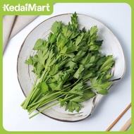 Daun Seledri 1 Kg