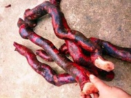 91k/1 kg rễ mú từn tươi tây bắc