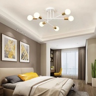 LED Ceiling Light Modern 6 Heads Ceiling Light For Living Room Bedroom Indoor Lighting Fixtures Corridor Home Decor
