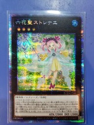 遊戲王 ROTD-JP46 六花聖 新年花圈 白碎