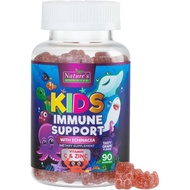 Kids Immune Support Supplement Gummies - Daily Childrens Vitamins C, Zinc & Echinacea - Gummy for Ki