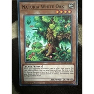 Yugioh: naturia white oak