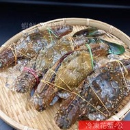 【海鮮7-11】冷凍花蟹-公 100/150   4隻/包 450克+-5%/包 *肉質鮮甜飽滿！**每包160元**