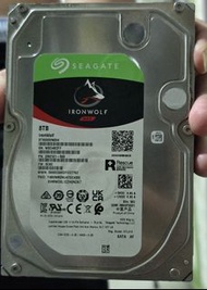 Seagate IronWolf 8TB