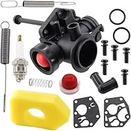 HURI Carburetor for Push Mower 3.5-5.5 Hp 550 Series Engine 498811 498809 494775 10T702 10T802 10T81