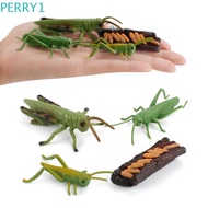 PERRY1 Life Cycle Figures Miniature Insect Kids Cognitive Realistic Early Educational Kids Toys Biology Cycle Mantis Figurine