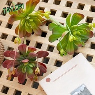 TAYLOR1 Fake Cactus, Plastic Fleshy Artificial Succulent Plant, Decorative Real Touch Lifelike Reali