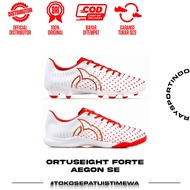 ORTUSEIGHT FORTE AEGON FG & IN SE