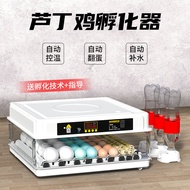 Rutin Chicken Incubator Small Household Mini Incubator Automatic Intelligent Bird Egg Water Bed Constant Temperature Egg Incubator