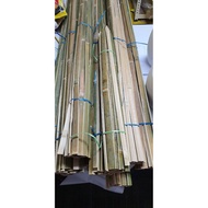 🌳BULUH PERCIK/LEMANG/PANCANG POKOK BAMBOO PLANT STAKES PANCANG SAYUR POKOK BUNGA HIASAN ORKID CILI P
