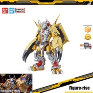 Bandai Digimon Figure-Rise Standard  [Amplified]  Wargreymon (5057815)