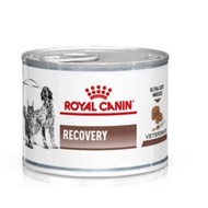 Royal Canin Recovery 195 gr Royal Canin Gastrointestinal Dog Food Cat Food