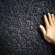 BIJI KOPI HITAM 1KG-BIJI KOPI ROASTED BEAN-BIJI KOPI ROBUSTA MANTAP