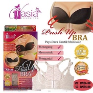 V’asia Push Up Bra (XS-M, L-XL)