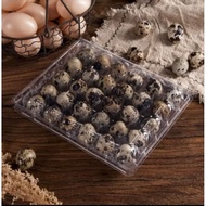 100 trays of 30 quail eggs