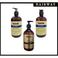 Gold Nine Aromatherapy Anti Dandruff/Oily Control Shampoo/Ginger Revive Shampoo 500ml