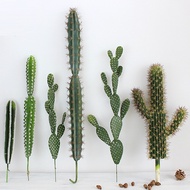 Simulation Tropical Desert Plant Cactus Cactus Big Cactus Pillar Bonsai Green Plant Restaurant Windo