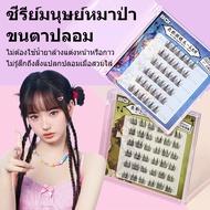 BQI False Eyelashes Self-Adhesive Game Series Free Tweezers (Shipped From Thailand) Eyelash Extensio