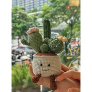 Cactus pot for desk - Wool cactus pot for desk