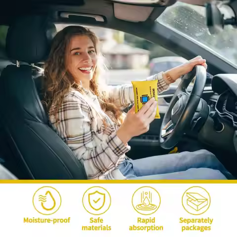 Fast Reactivated Desiccant Packets Silica Humidity Absorber Bag for Closet Car Interior Reusable Deh