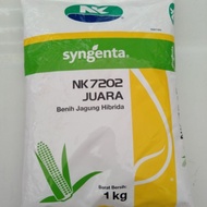 MURAH Benih Jagung NK7202 Juara / Bibit Jagung Hibrida Nk Juara