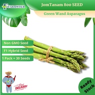 JomTanam Green Wand Asparagus NON GMO SEED, F1 Hybrid seed ( 1 Pack = 30 Seeds )