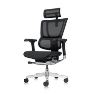 Ergohuman IOO Elite 2 Ergonomic Full Mesh Ergonomic Office Chair