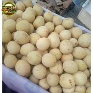 ( 1 PETI ) DUKU PALEMBANG ASLI KOMERING, MANIS, BUAH SEGAR