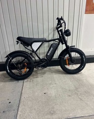 Ridstar Q20 Ebike 1000W 20 Inch 48V 20Ah Fat Tire Electric Mountain Dirt Bike LCD Display Fat Bike E