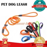 Cesar Milan Pet Dog Leash / Pet Dog Leash collar