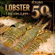 [E Voucher] Neta Grill Take Away รับที่ร้าน Neta Grill เท่านั้น Lobster กุ้งมังกร ขนาด 1 kg (อ่านเงื